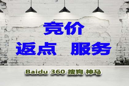 成功案例：专业SEM托管服务助力企业抢占行业制高点