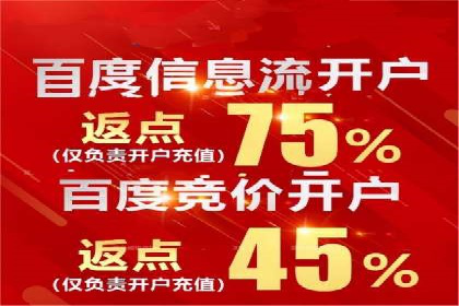 成功案例分享：SEM竞价代运营策略解析